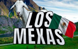 Mexas LFT